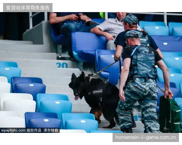 近六成国际体育赛事已完成安保视频流的版权化拆解改造